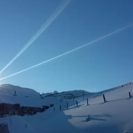 Soellbacherhof * פוגן