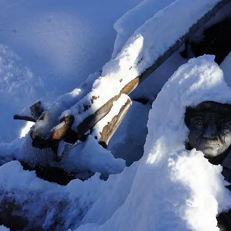 Apartament Soellbacherhof Fügen