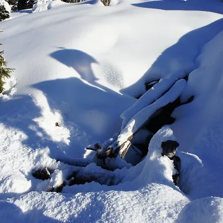 Soellbacherhof Apartament Fügen
