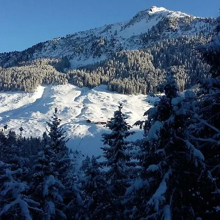 Soellbacherhof Apartament Fügen