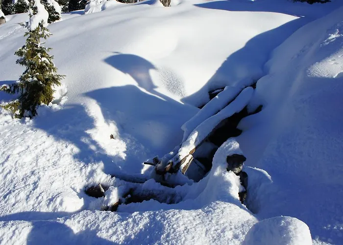 Soellbacherhof Апартаменти Фюген