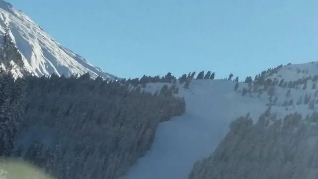 Soellbacherhof Апартаменти *