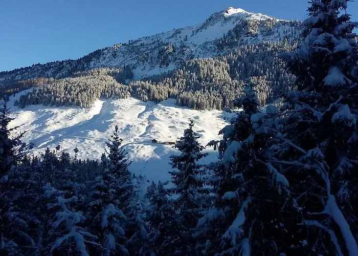 Soellbacherhof Διαμέρισμα Fügen